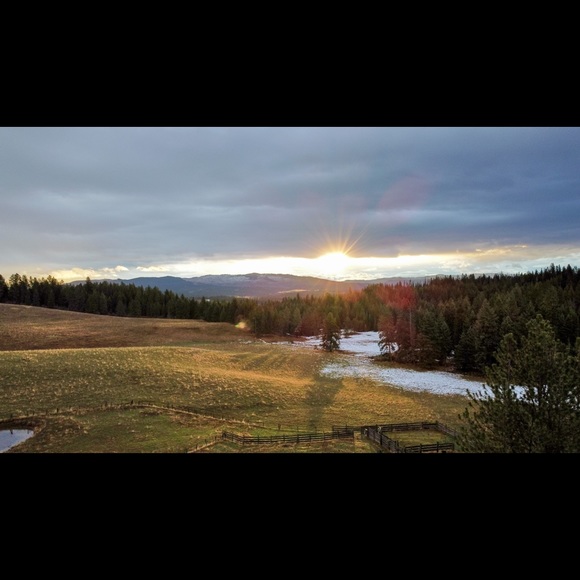 Meet your Posher, Phillip - Picture 3 of 8